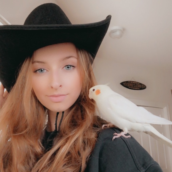 knewcomber